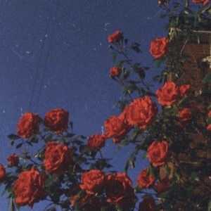 Meet your Posher, Kaitlyn